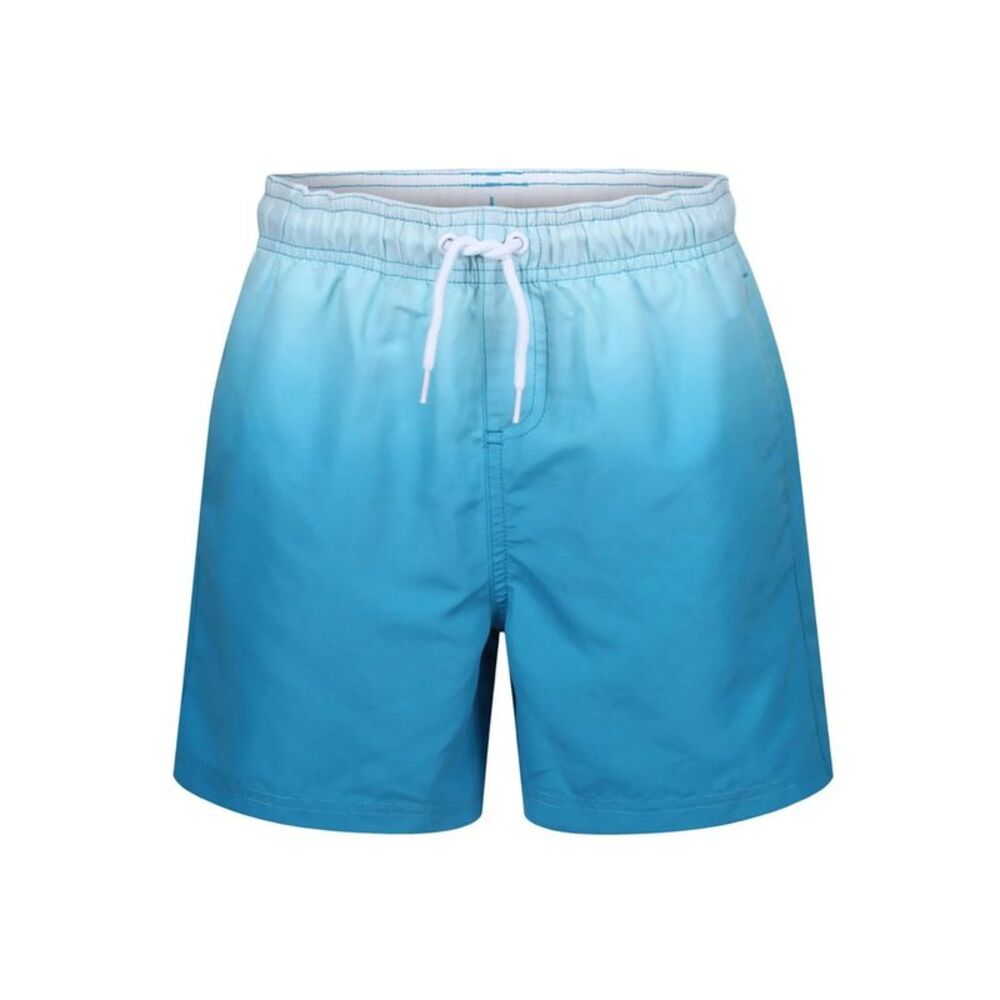 RIPT Essentials Mens Dip Dye Swim Shorts / Blue